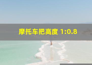 摩托车把高度 1:0.8